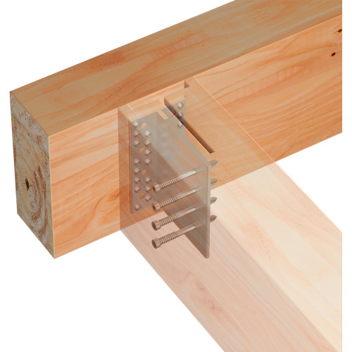 BTCALU on Timber Cross-Section