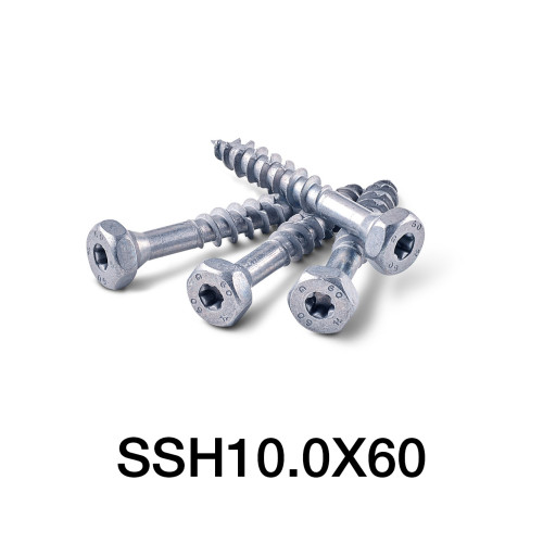 SSH10.0X60 screws